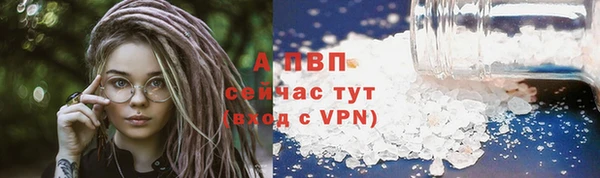 стаф Кулебаки