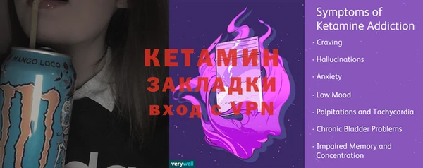 стаф Кулебаки