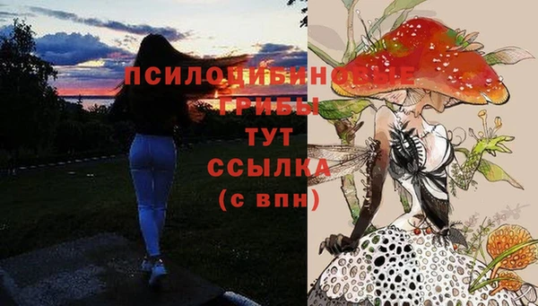 соль курить ск Кукмор