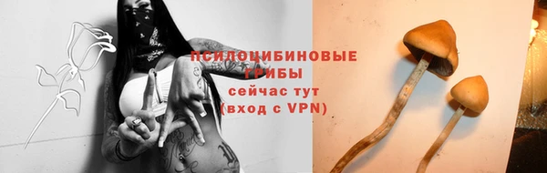 стаф Кулебаки