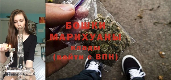 стаф Кулебаки