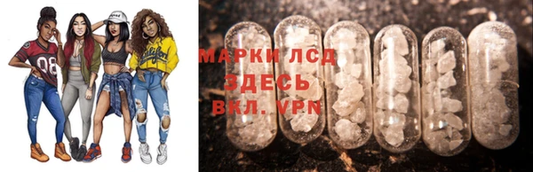 стаф Кулебаки