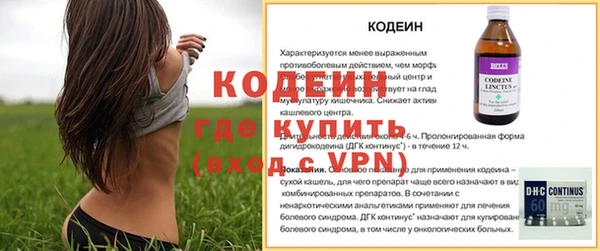 стаф Кулебаки