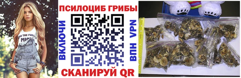 shop состав  дарнет шоп  Мирный  Псилоцибиновые грибы Cubensis 